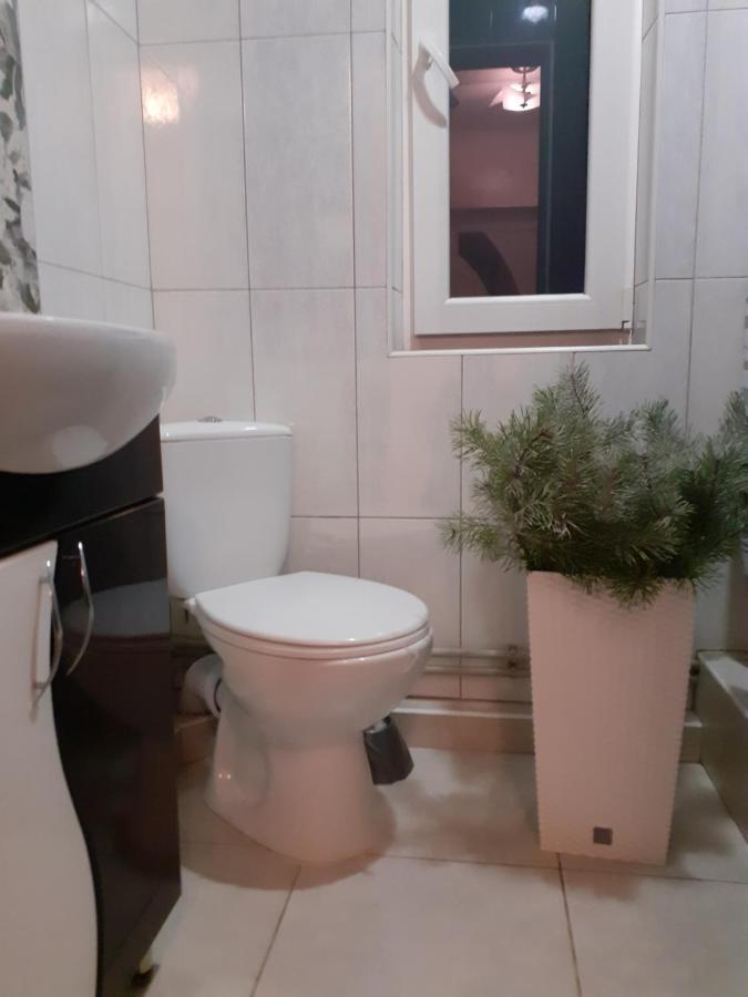 Guest House Viktoria Yaremche Ngoại thất bức ảnh